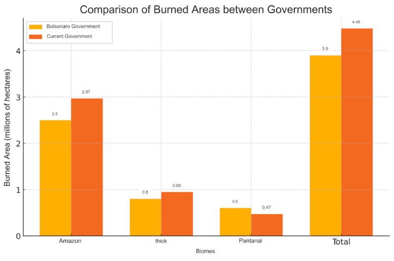 1d727a45 f990 44cd 82a3 81fcca153b771 800x531 - Forest Fires in Brazil: Comparing Governments and Impacts on Biomes